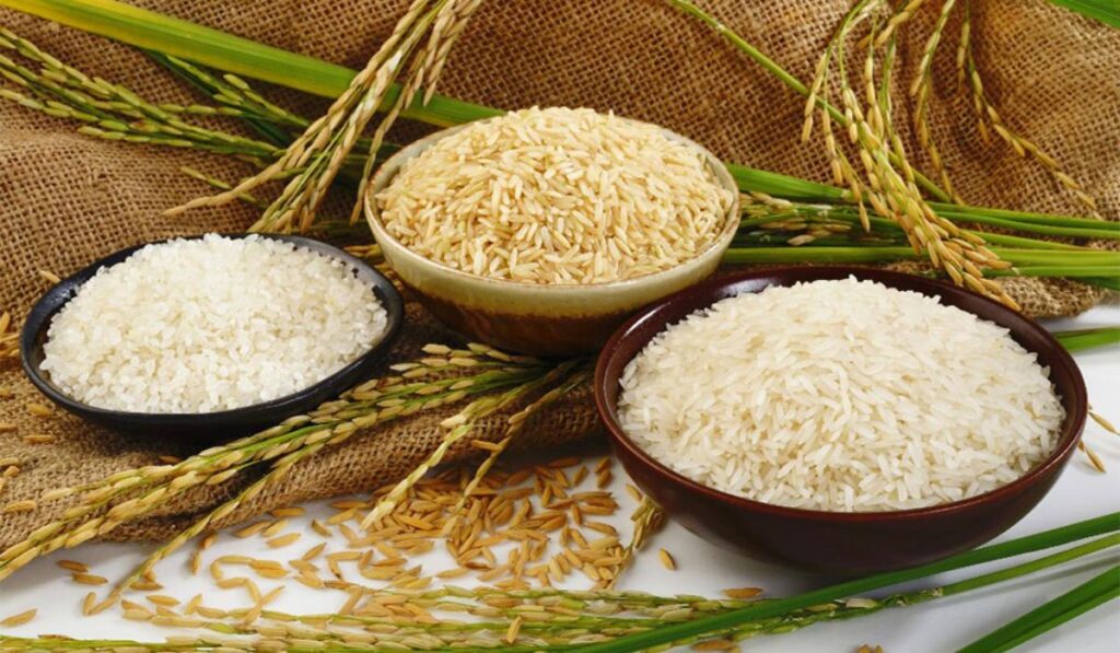 Zesty Cuisine Cooking Classes