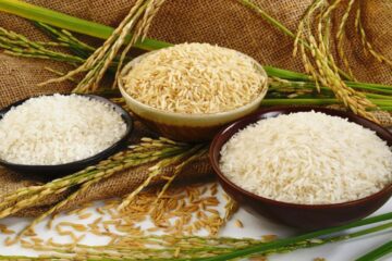 Zesty Cuisine Cooking Classes
